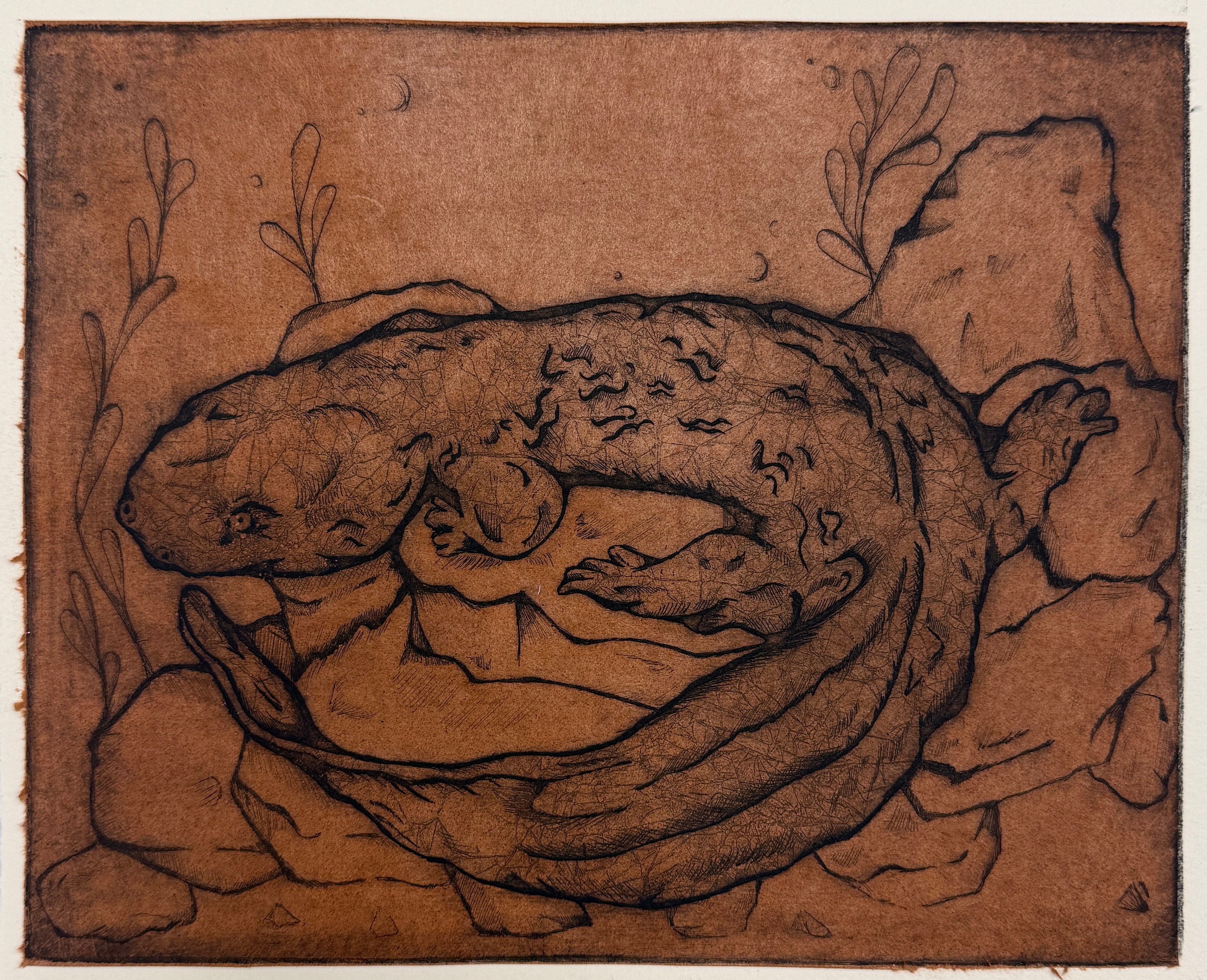 Hellbender
